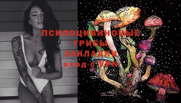 Альфа ПВП Пересвет