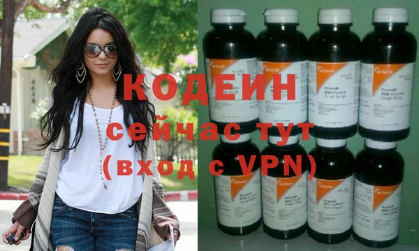 прущие грибы Покачи
