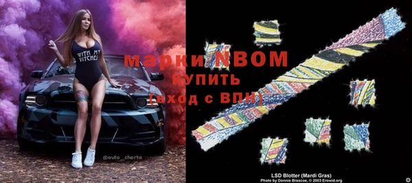 дурь Пестово