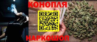 МДПВ Дубна