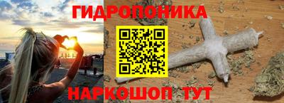 МДПВ Дубна
