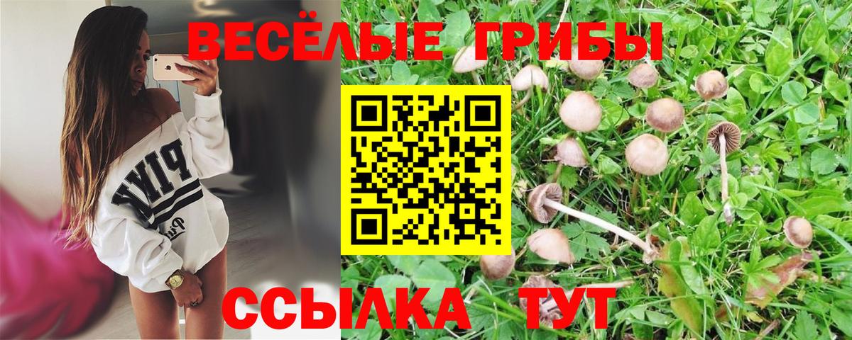 Псилоцибиновые грибы Psilocybe  купить наркотик  Кстово  Вход с VPN 