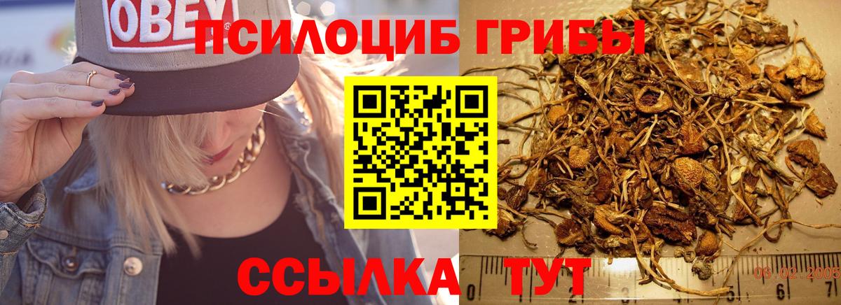 Псилоцибиновые грибы мухоморы Кстово