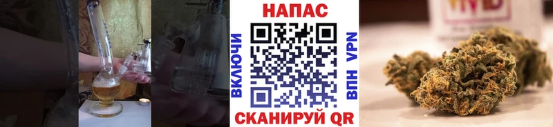 закладки  Кстово  Конопля гибрид 