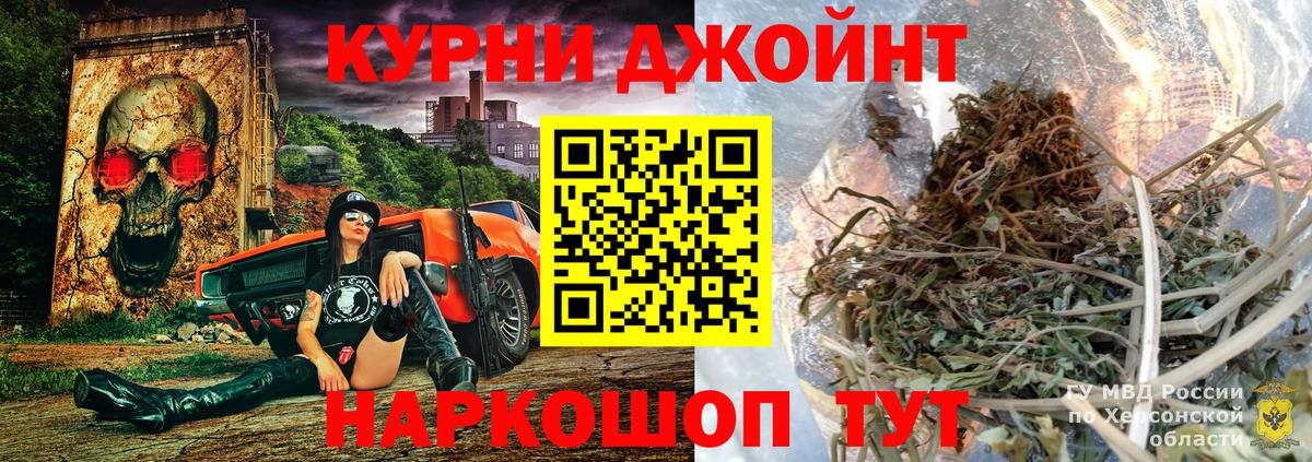 Каннабис сатива Кстово